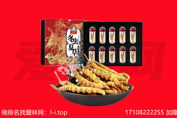 石家庄市深泽回收虫草.jpg
